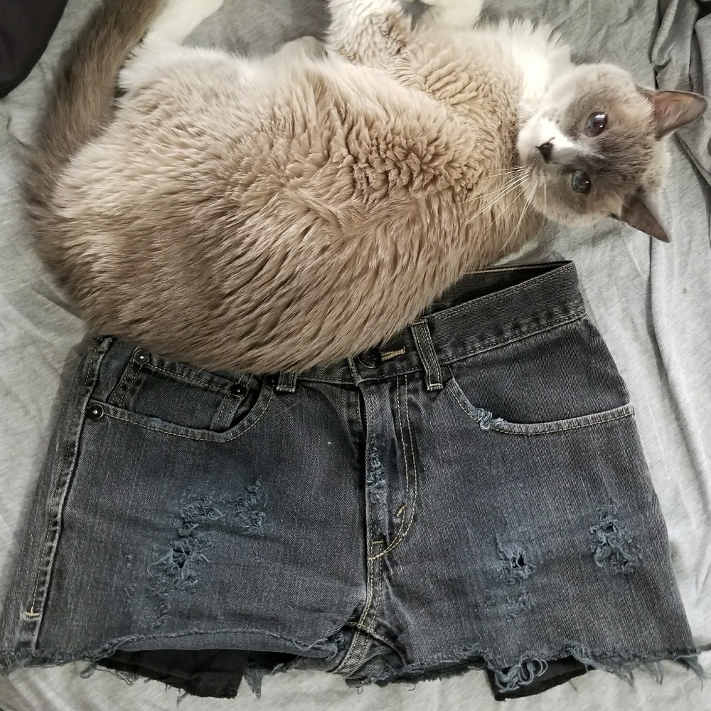 Levis Cut Off Distressed Shorts